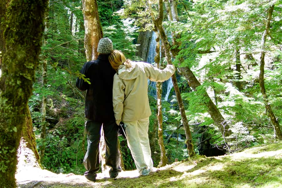 Wanaka: Jet Boat & Wilderness Walk - Glacier country near Mount Aspiring, up close and photo friendly