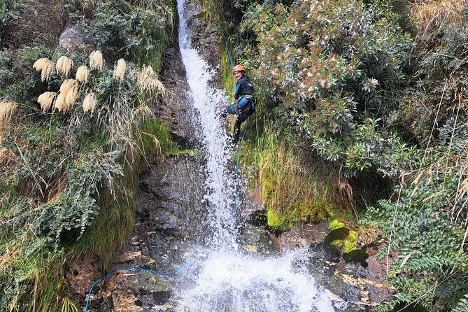 Wildwire Wanaka- Climb & Canyon (4-5 Hours) - Cable Climb to Cliffside Trail, then Rappel Twin Falls